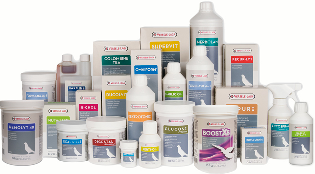 Functions and Sources of Various Vitamins and Minerals